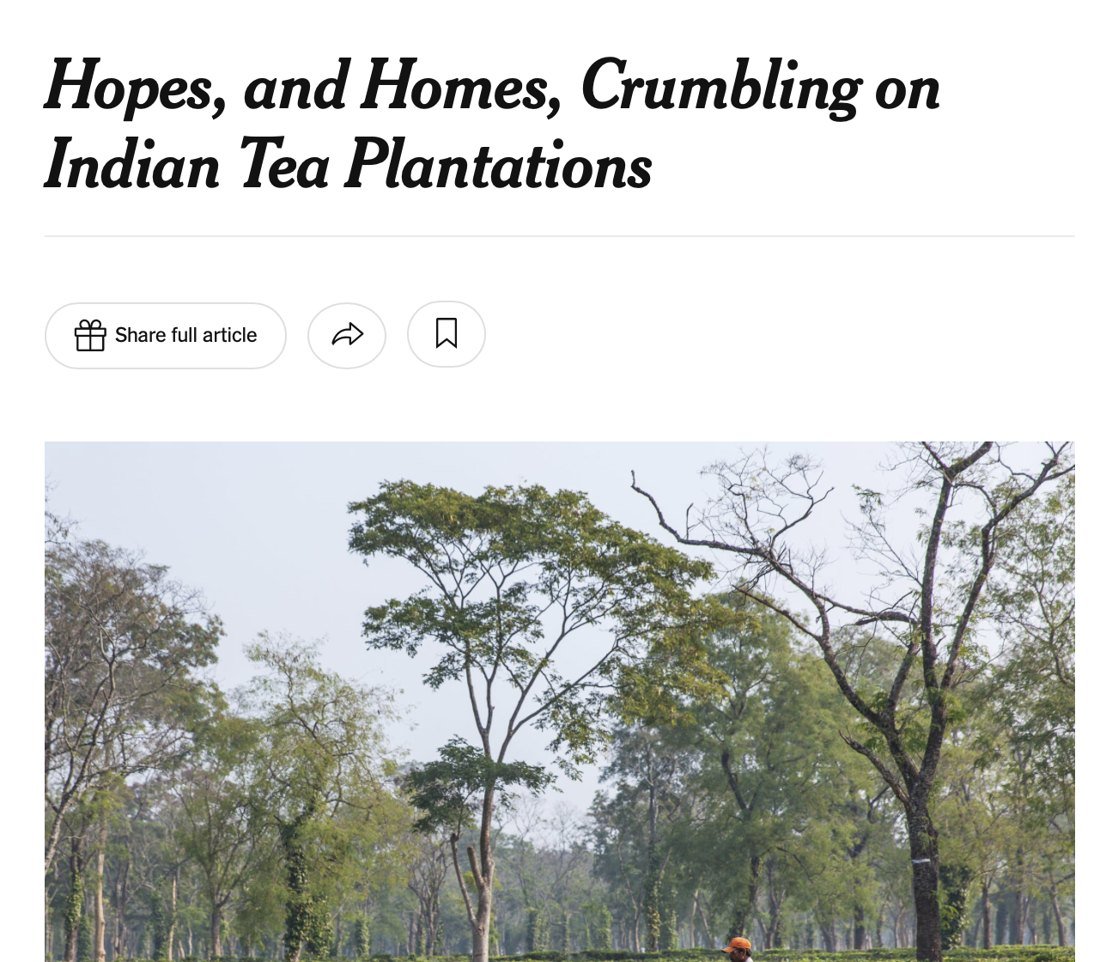 Hopes, and Homes, Crumbling on Indian Tea Plantations, The New York Times