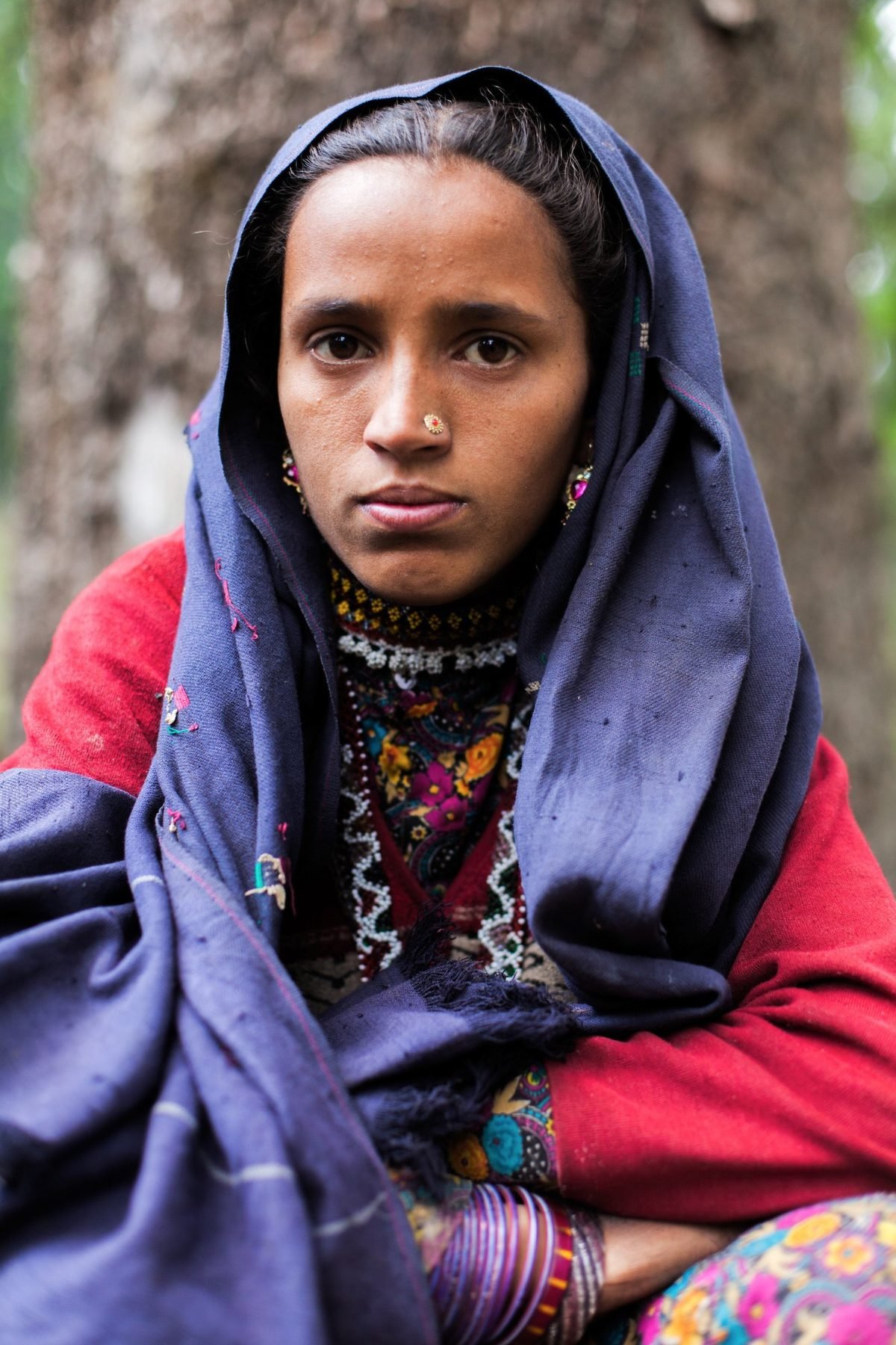 Himalayan Van Gujjar, Himachal Pradesh