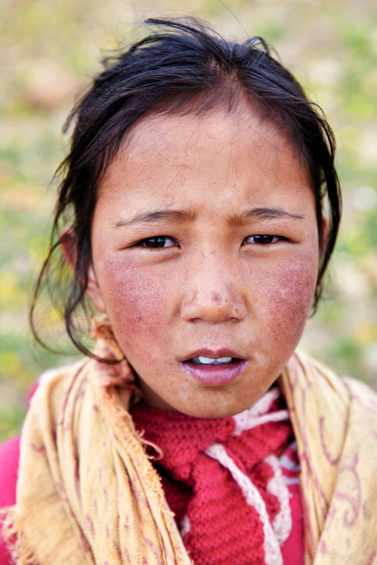 Hikkim Village, Spiti, Himachal Pradesh