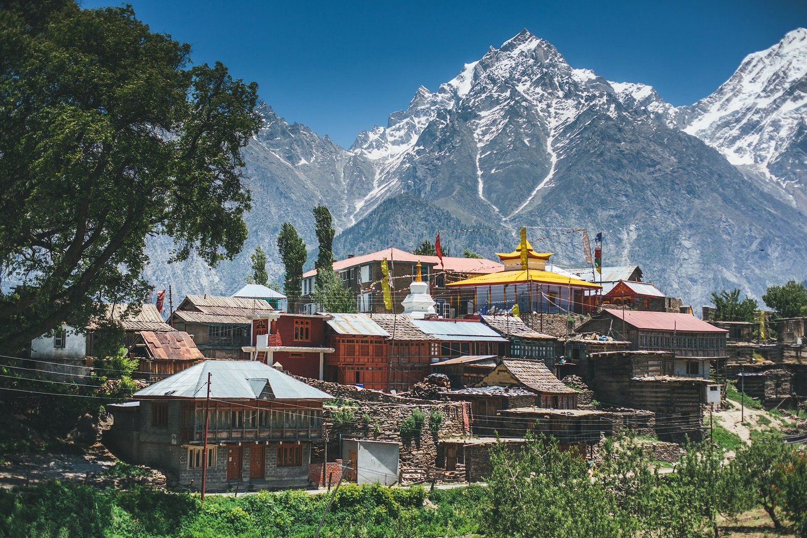 Kinnaur, Kinnaur, Himachal Pradesh