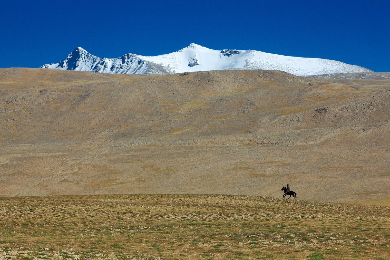 Ladakh 2010, Ladakh