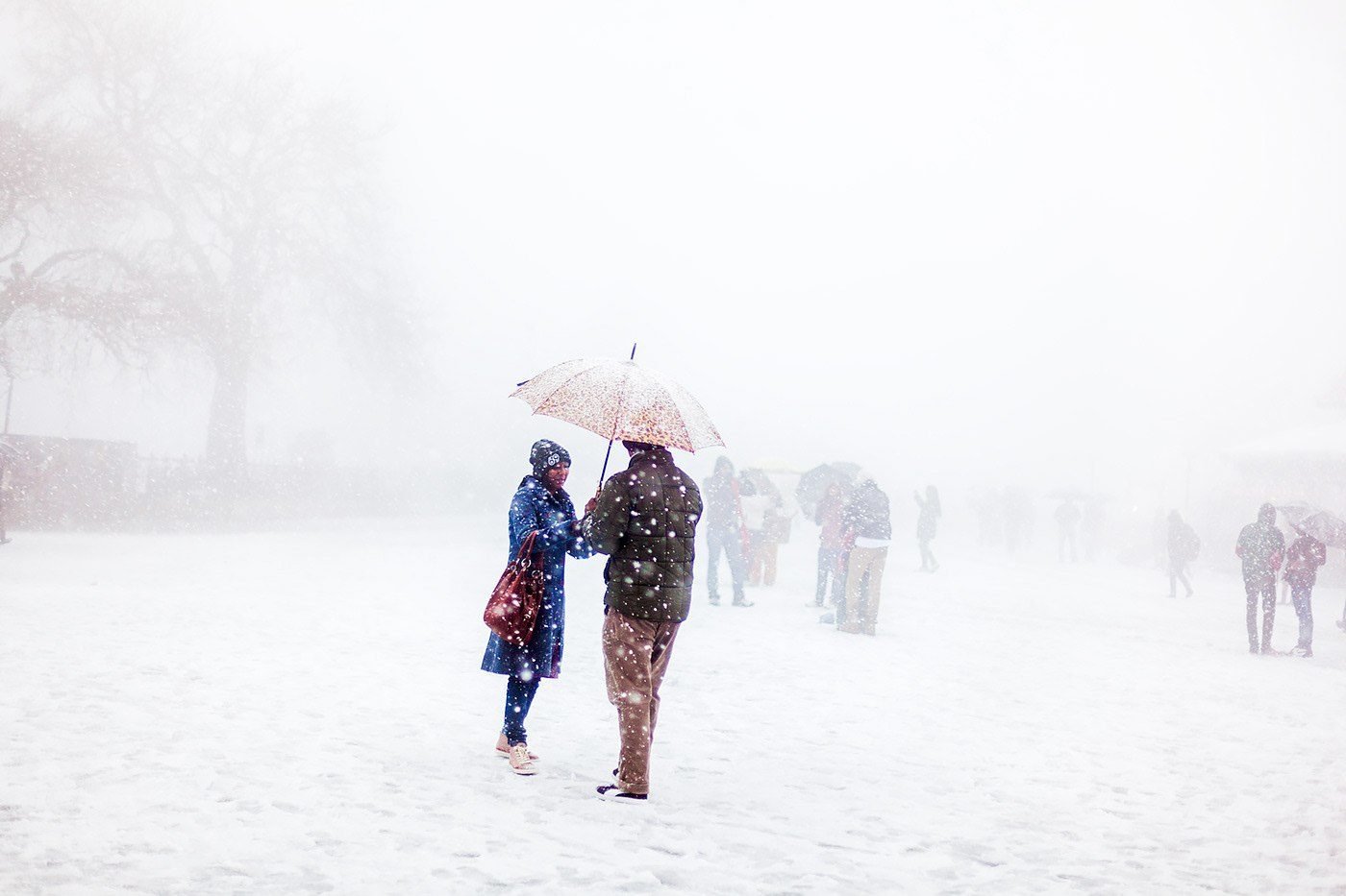 Winter in Shimla, Shimla, Himachal Pradesh